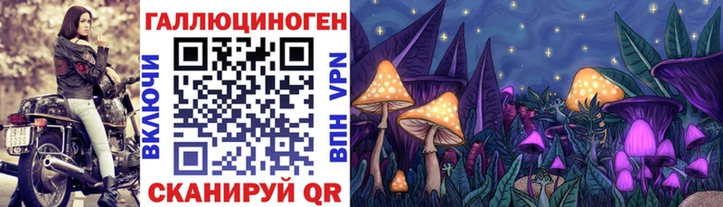 площадка телеграм  Суоярви  Псилоцибиновые грибы Psilocybine cubensis 